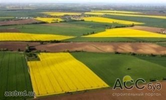 Больше 2-х млн. га. в Украине считаются ничейными