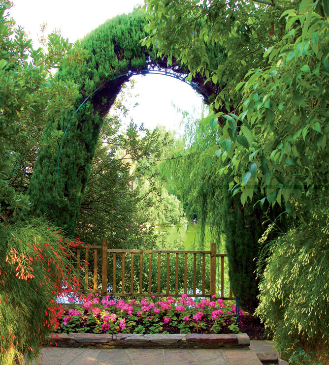 Пергола из хвойных