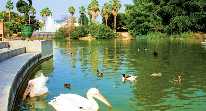 Животные живут в условиях полусвободы